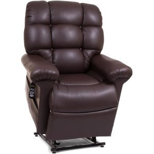 Power Cloud Medium Large Lift Recliner - Image 1